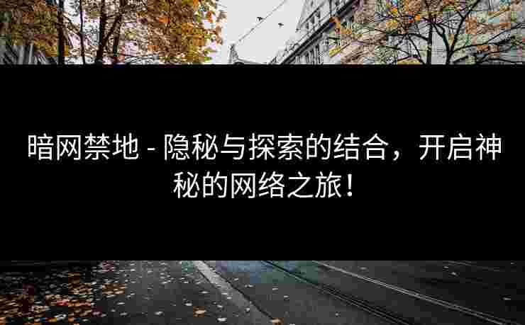 暗网禁地 - 隐秘与探索的结合，开启神秘的网络之旅！